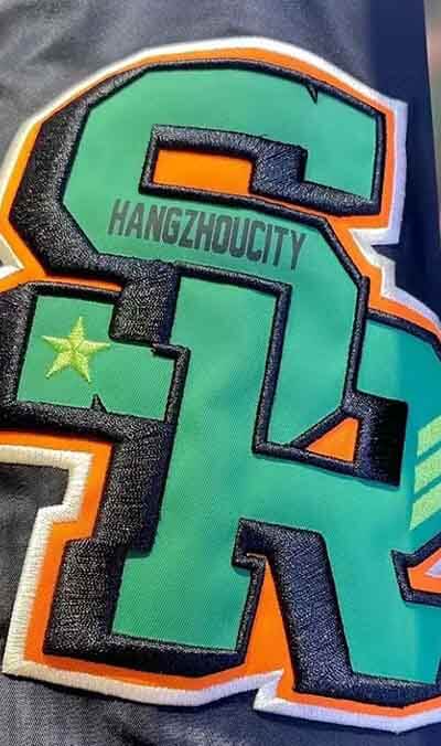 Affixed cloth embroidery 1