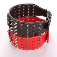 pet supplies-9a10a15