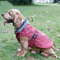 pet supplies-9a10a25