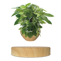 plant pot-14