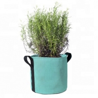 plant pot-21