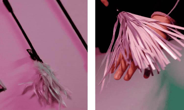 sm props designed from Lisa