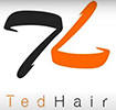 ted hair