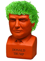 trump planter