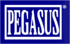 Pegasus glass