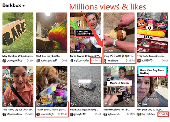 barkbox hashtag on TikTok