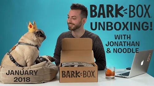 Barkbox unboxing experience for owners
