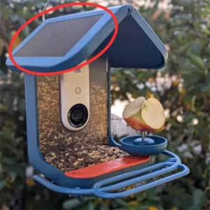 Bird Buddy solar pannel feeder