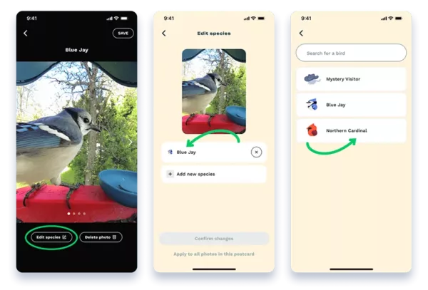 Bird Buddy's AI smart recognition