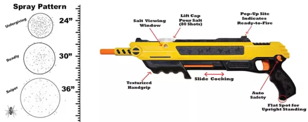 Details of Bug A Salt's Upgrade