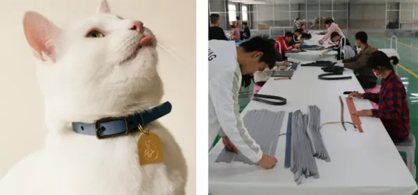 luxury-level pet collar made in Chinese factory