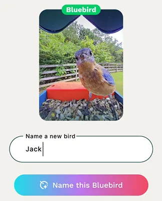 Name a specific Bird with the Bird Buddy app