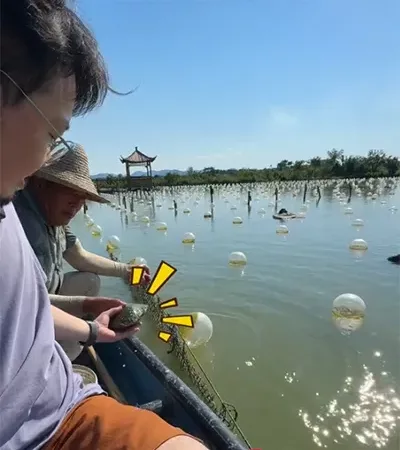 pick a oyster on the boat