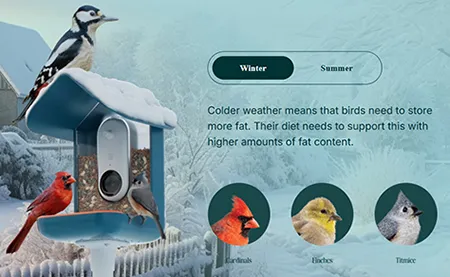 seasonal subscription bird food