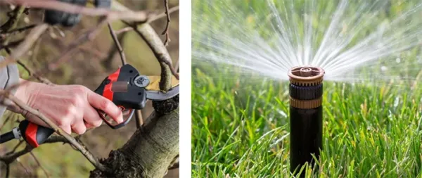 Smart Gardening Tools