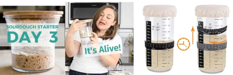 Sourdough Starter Journey from Scratch