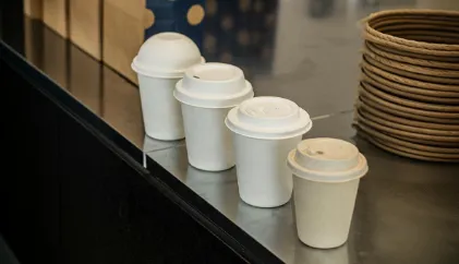 sugarcane bagasse cups