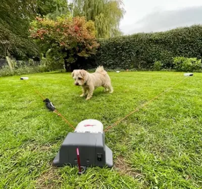 SwiftPaws product for small dogs