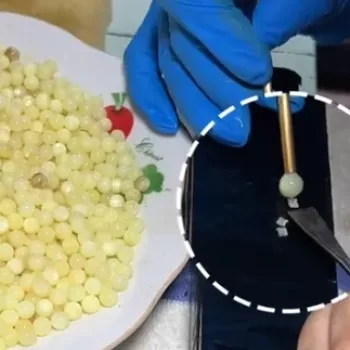 Nucleation for insertion