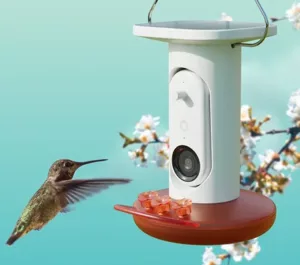 The Summer of Birds project by Bird Buddy