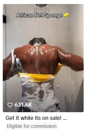 the viral vedio of the sponge net on TikTok