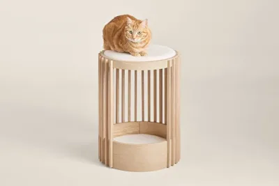 Tuft + Paw furniture