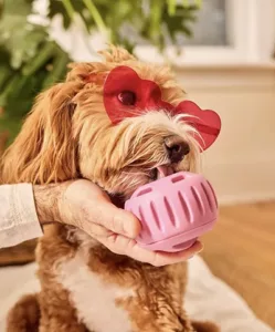 Valentine's Day pupsicle