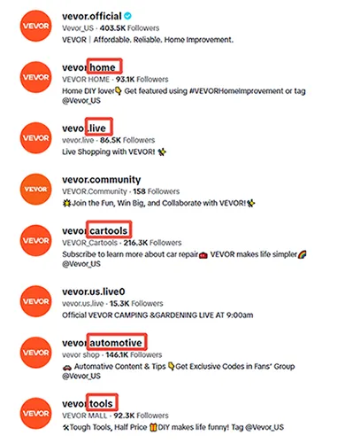 Vevor tiktok accounts
