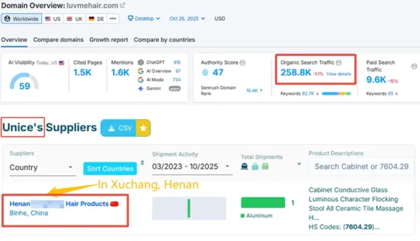 Wig brand's website traffic